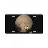 can i be a planet now License Plate