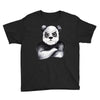 Kung Fu Panda Youth Tee