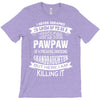 Super Cool Pawpaw Of A Freaking Awesome Granddaughter T-Shirt