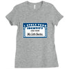 i stole your identity and now my life sucks Ladies Fitted T-Shirt