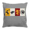 Got Throw Pillow