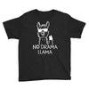 no drama llama Youth Tee