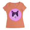 catsfinal recovered Women's Triblend Scoop T-shirt