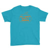 no i did not steal a pumpkin Youth Tee