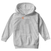 aperture laboratories Youth Hoodie