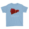 liver cancer awareness Youth Tee