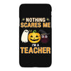 nothing scares me i'm a teacher iPhoneX