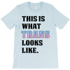 This is What Trans Looks Like T-Shirt
