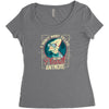 on this plane Women's Triblend Scoop T-shirt