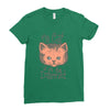 my cat is on the internet Ladies Fitted T-Shirt