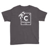 christmas periodic table of elements Youth Tee