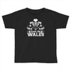 come on wales funny nations rugby Toddler T-shirt
