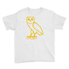 drake, ovoxo owl Youth Tee