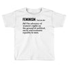 Feminism Noun Toddler T-shirt