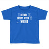 i before e except after c Toddler T-shirt
