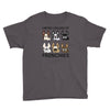 united color of frenchies Youth Tee
