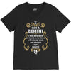 i am a gemini V-Neck Tee