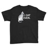 i cat even Youth Tee