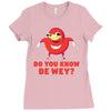 Do You Know De Wey Ladies Fitted T-Shirt
