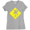 pterosaur warning Ladies Fitted T-Shirt