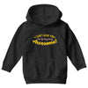 can't hear you too busy being awesome Youth Hoodie