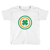 captain ireland Toddler T-shirt