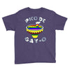 pico de gayo lgbt Youth Tee