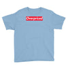 overpriced Youth Tee