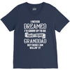 Perfect Freakin Granddad V-Neck Tee