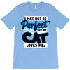 i may not be be perfect but my cat loves me T-Shirt