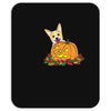 corgi pumpkin Mousepad