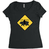 bear shark Women's Triblend Scoop T-shirt