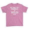 perfect welsh Youth Tee