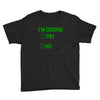 im drunk Youth Tee
