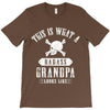 This Is What A Bad Ass Grandpa Looks Like T-Shirt