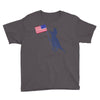 Patriotic T-Rex Youth Tee