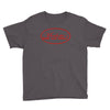 merlottes bar and grill t shirt true blood green Youth Tee
