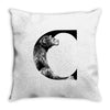 california Throw Pillow