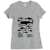 shark chart Ladies Fitted T-Shirt