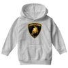 lamborini Youth Hoodie