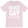 new i'm not gay but $20 is $20 T-Shirt