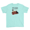 the pilgrimage Youth Tee