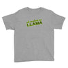ask me about my llama Youth Tee