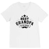 the best grandpa V-Neck Tee