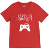 level 16 complete V-Neck Tee