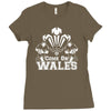 come on wales funny nations rugby Ladies Fitted T-Shirt