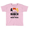 It's Just a Bunch of Hocus Pocus Toddler T-shirt