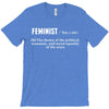 Feminist Noun T-Shirt