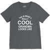 this is what a cool grandma looks like V-Neck Tee