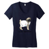 Dogtor Women's V-Neck T-Shirt